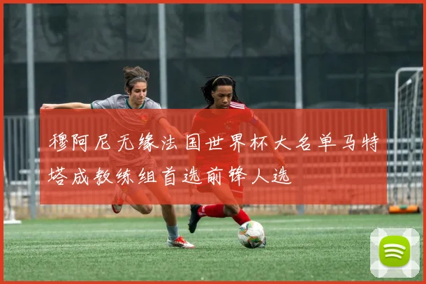 穆阿尼无缘法国世界杯大名单马特塔成教练组首选前锋人选