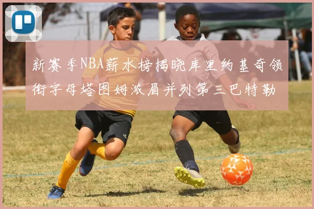 新赛季NBA薪水榜揭晓库里约基奇领衔字母塔图姆浓眉并列第三巴特勒排名第十